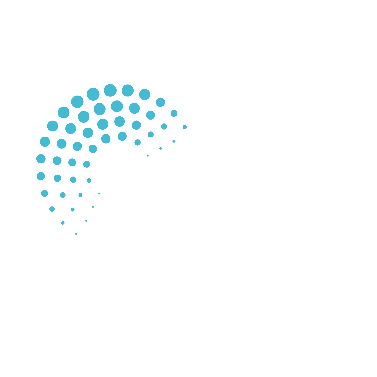 DataSkout logo white